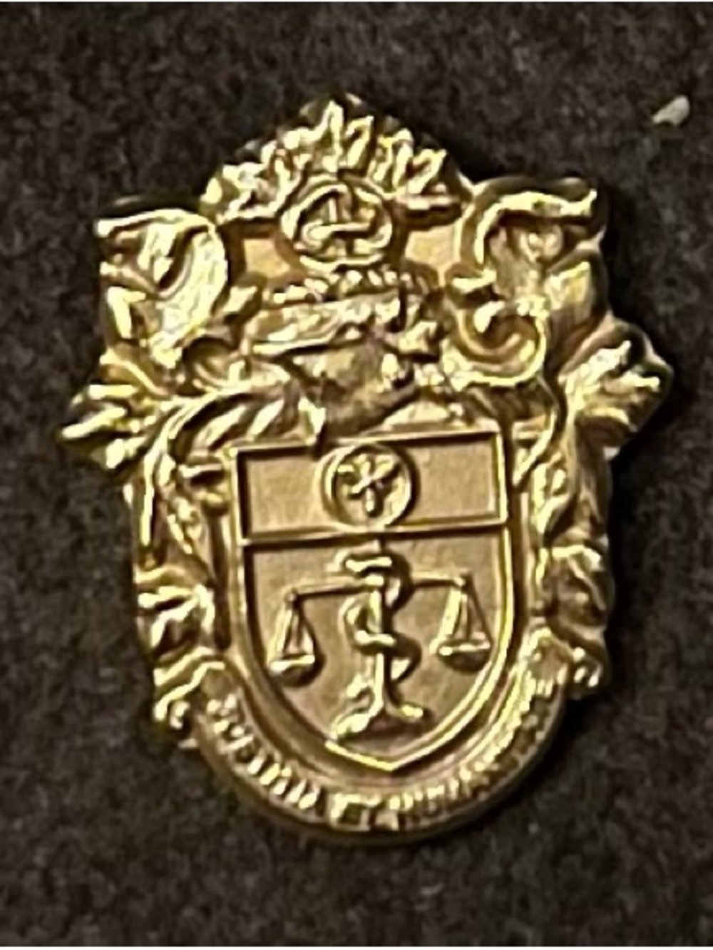 RARE VTG Gold Crest Shield Pin - Decorative Heraldic Emblem